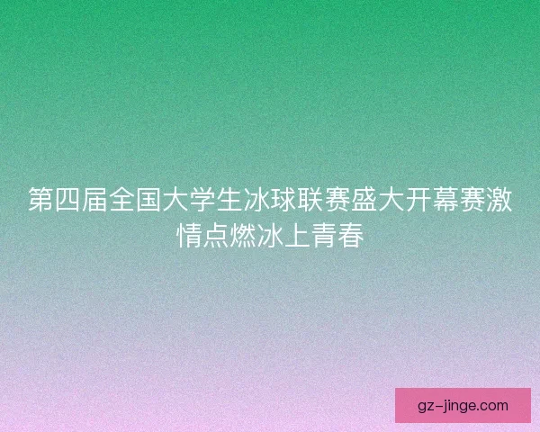 第四届全国大学生冰球联赛盛大开幕赛激情点燃冰上青春 第四届全国大学生冰球联赛盛大开幕赛激情点燃冰上青春